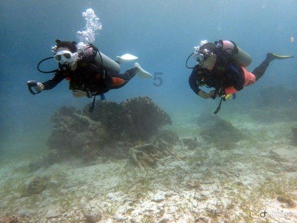 28岁孙俪邀请36岁张晓龙一件事，张晓龙为什么面露痛苦地拒绝